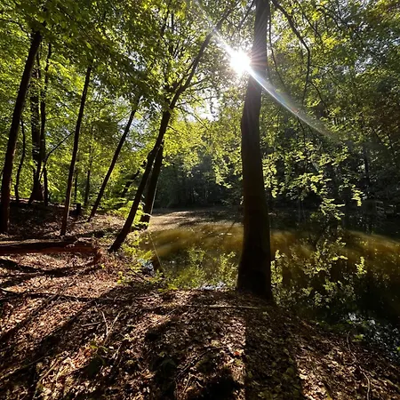 Baumzelt In Idyllischer Lage *